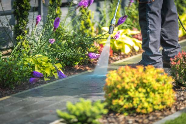 Best Boat and Dock Cleaning  in Round Lake, IL